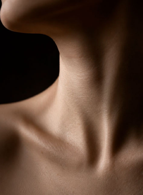 Detalle del cuello y hombro mostrando calidad y textura de la piel